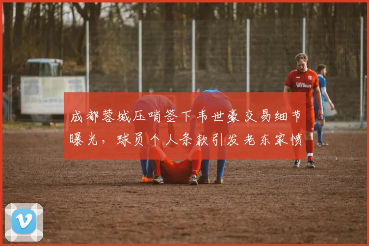成都蓉城压哨签下韦世豪交易细节曝光,球员个人条款引发老东家愤怒